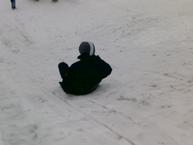 [ Nr. 15 - 20100109230.jpg ]