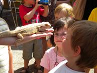 [ Nr. 46 - dscn8489.jpg ]